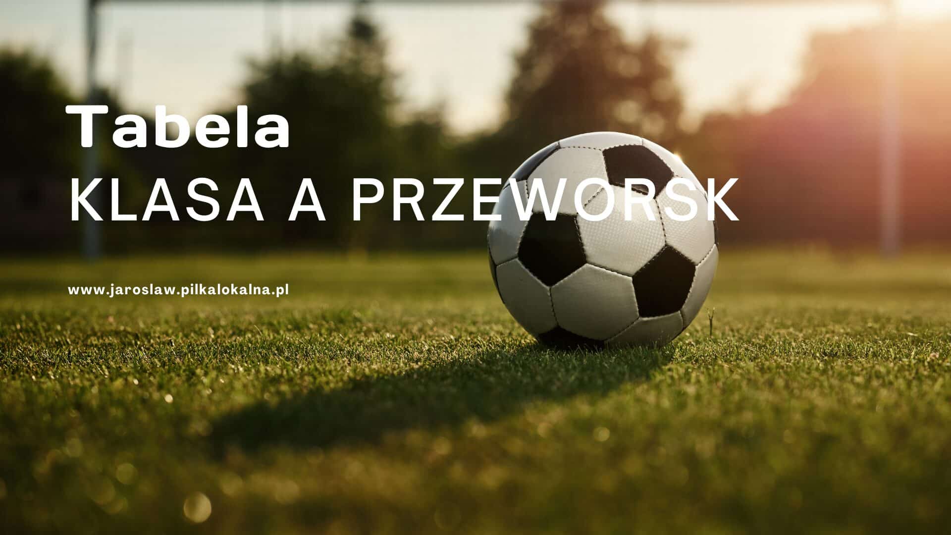 Blue and Pink Professional Business Strategy Presentation (1)