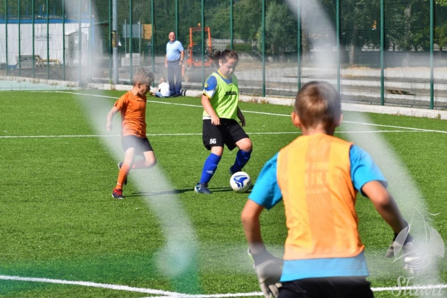 icon_f83ecdfa6bfb383bb4832aeae078d042