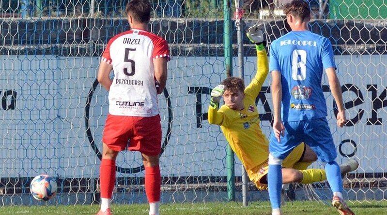 66ef323b7faff_o_large-799x445