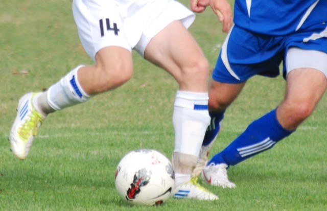 6117788b7aff3_o_medium