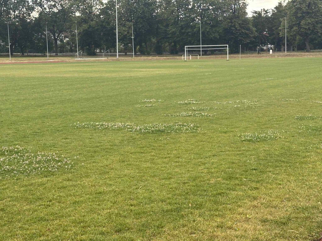 Messenger_creation_816EBEE8-9E77-459C-A303-371D30FAD9F3