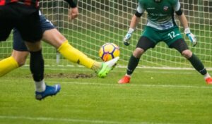 5dc82d010e434_o_medium