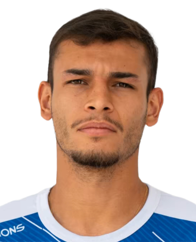 Henrique Pereira Pedro