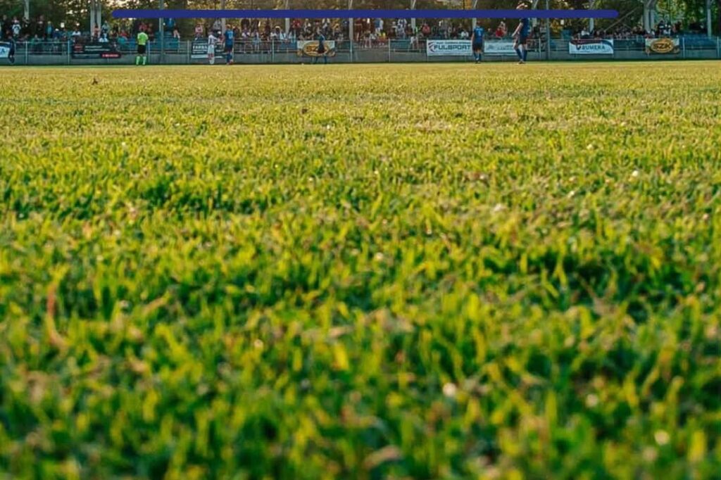 Screenshot_2025-08-12-09-38-39-009_com.facebook.katana-edit