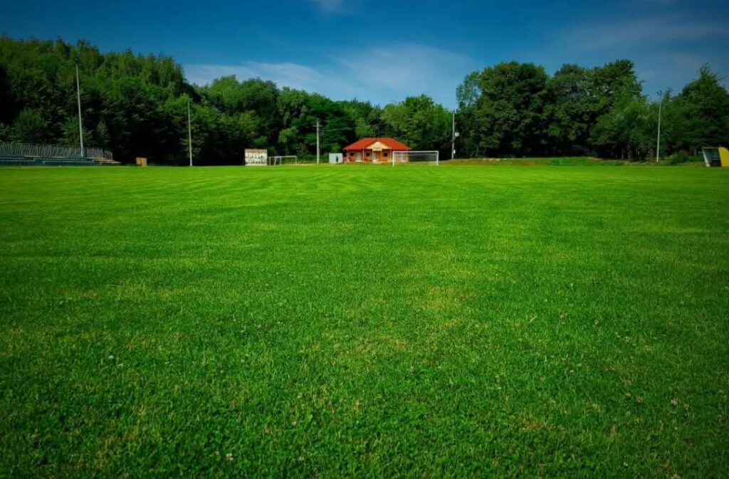 Screenshot_2025-11-03-13-12-39-52_a23b203fd3aafc6dcb84e438dda678b6